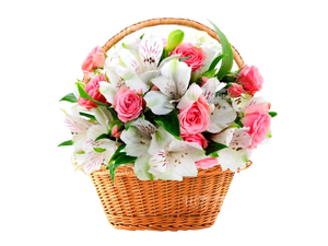 Киприда